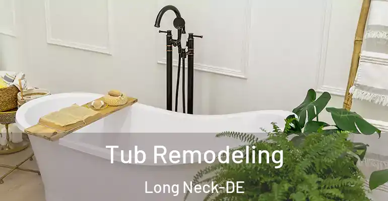 inner Bathroom imggen Tub Remodeling Long Neck-DE