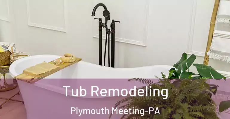 inner Bathroom imggen Tub Remodeling Plymouth Meeting-PA