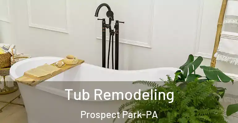 inner Bathroom imggen Tub Remodeling Prospect Park-PA