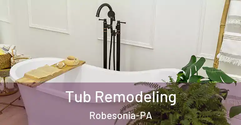 inner Bathroom imggen Tub Remodeling Robesonia-PA