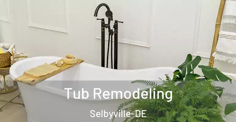 inner Bathroom imggen Tub Remodeling Selbyville-DE