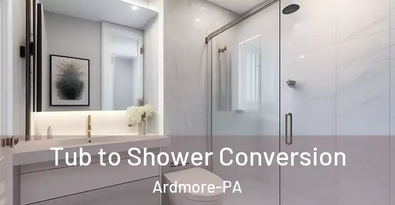 inner Bathroom imggen Tub to Shower Conversion Ardmore-PA
