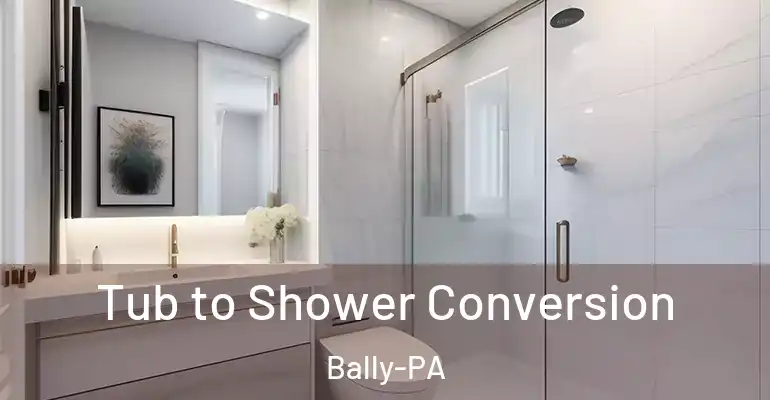 inner Bathroom imggen Tub to Shower Conversion Bally-PA