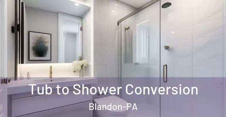 inner Bathroom imggen Tub to Shower Conversion Blandon-PA