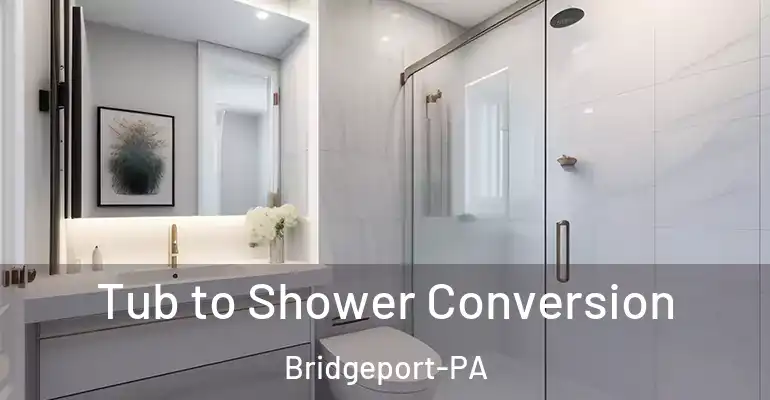 inner Bathroom imggen Tub to Shower Conversion Bridgeport-PA