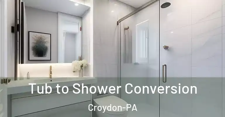 inner Bathroom imggen Tub to Shower Conversion Croydon-PA