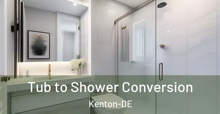 inner Bathroom imggen Tub to Shower Conversion Kenton-DE
