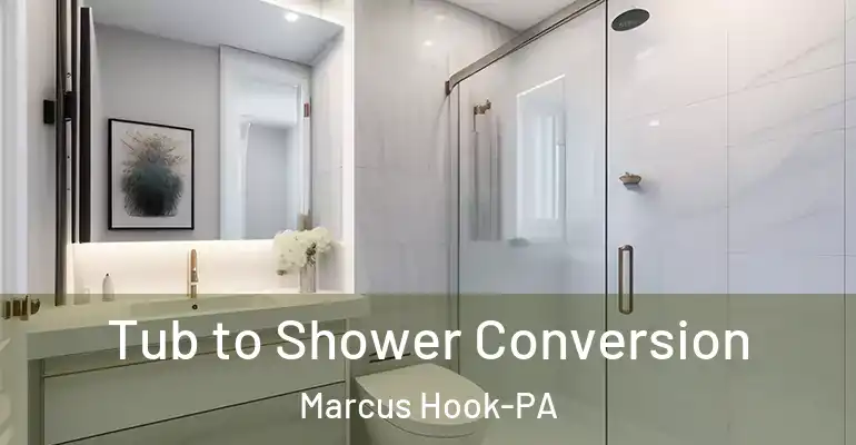 inner Bathroom imggen Tub to Shower Conversion Marcus Hook-PA