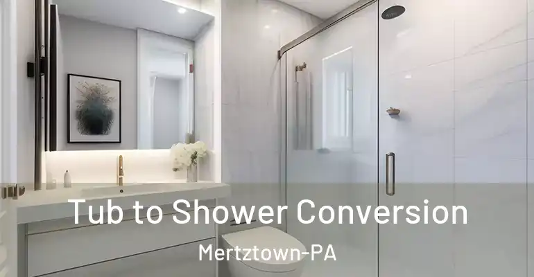 inner Bathroom imggen Tub to Shower Conversion Mertztown-PA