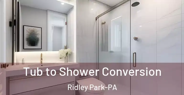 inner Bathroom imggen Tub to Shower Conversion Ridley Park-PA