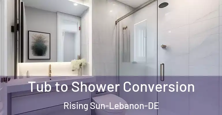 inner Bathroom imggen Tub to Shower Conversion Rising Sun-Lebanon-DE