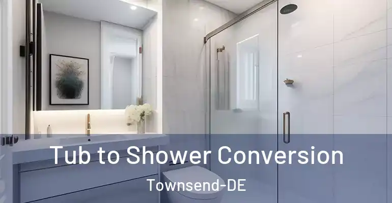 inner Bathroom imggen Tub to Shower Conversion Townsend-DE