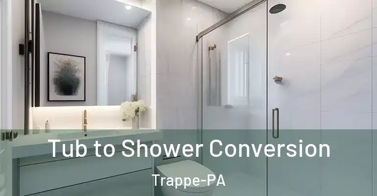 inner Bathroom imggen Tub to Shower Conversion Trappe-PA