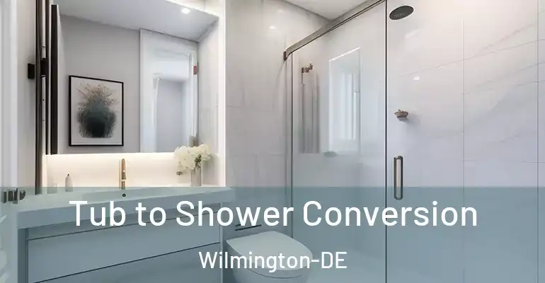 inner Bathroom imggen Tub to Shower Conversion Wilmington-DE