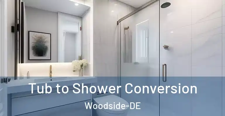 inner Bathroom imggen Tub to Shower Conversion Woodside-DE