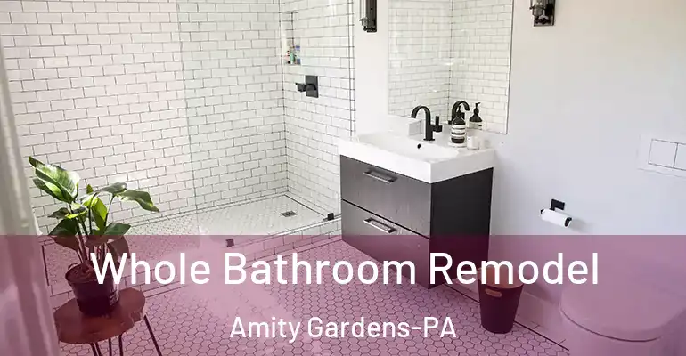 inner Bathroom imggen Whole Bathroom Remodel Amity Gardens-PA