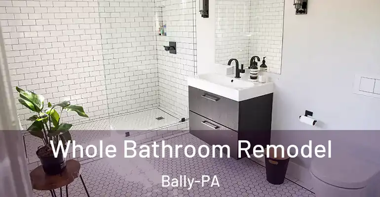 inner Bathroom imggen Whole Bathroom Remodel Bally-PA