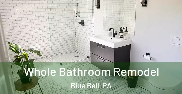 inner Bathroom imggen Whole Bathroom Remodel Blue Bell-PA