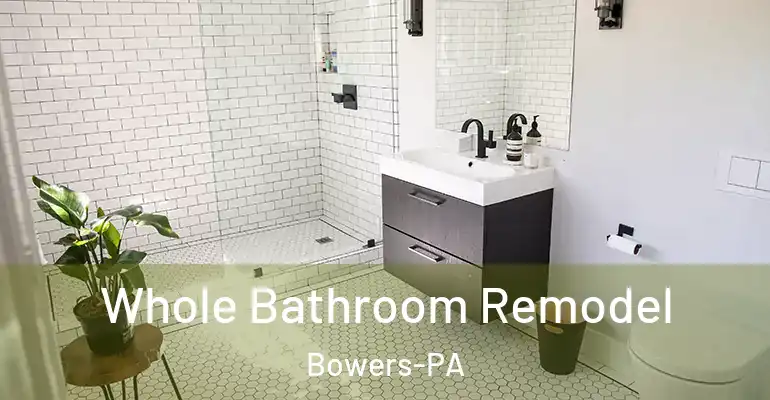 inner Bathroom imggen Whole Bathroom Remodel Bowers-PA