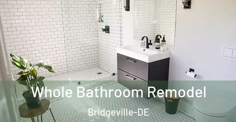 inner Bathroom imggen Whole Bathroom Remodel Bridgeville-DE