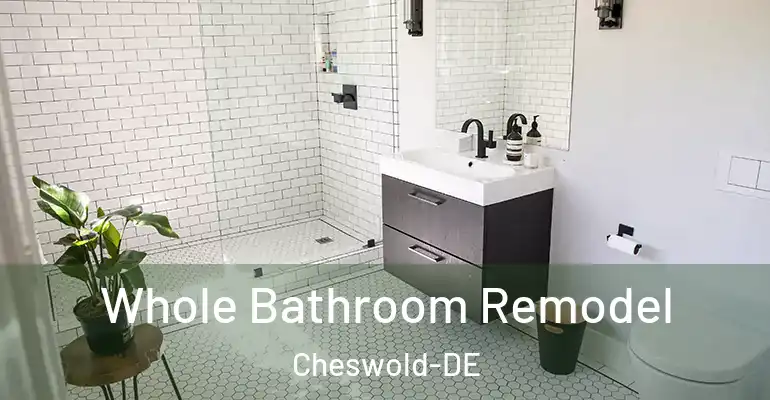 inner Bathroom imggen Whole Bathroom Remodel Cheswold-DE
