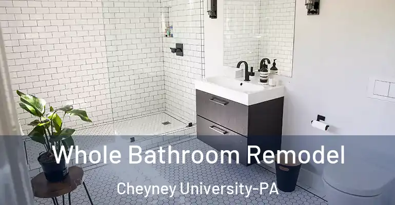 inner Bathroom imggen Whole Bathroom Remodel Cheyney University-PA