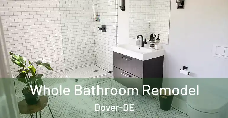inner Bathroom imggen Whole Bathroom Remodel Dover-DE