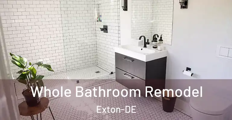 inner Bathroom imggen Whole Bathroom Remodel Exton-DE