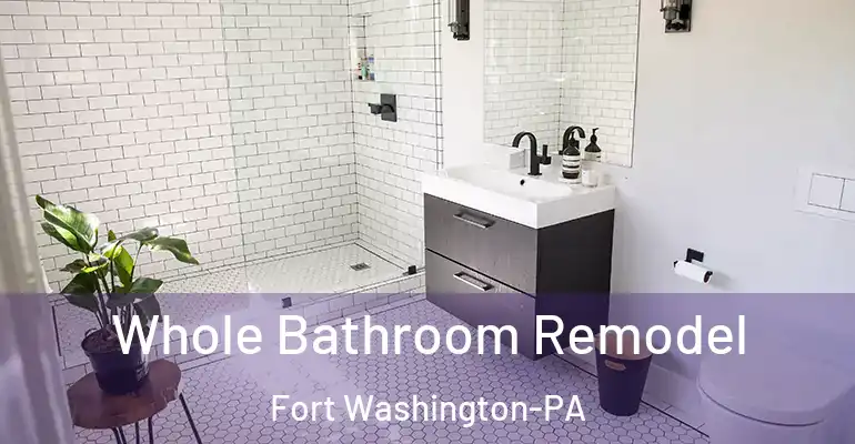 inner Bathroom imggen Whole Bathroom Remodel Fort Washington-PA