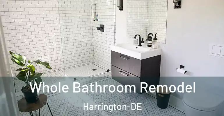 inner Bathroom imggen Whole Bathroom Remodel Harrington-DE