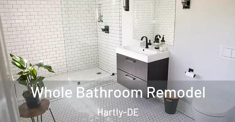 inner Bathroom imggen Whole Bathroom Remodel Hartly-DE
