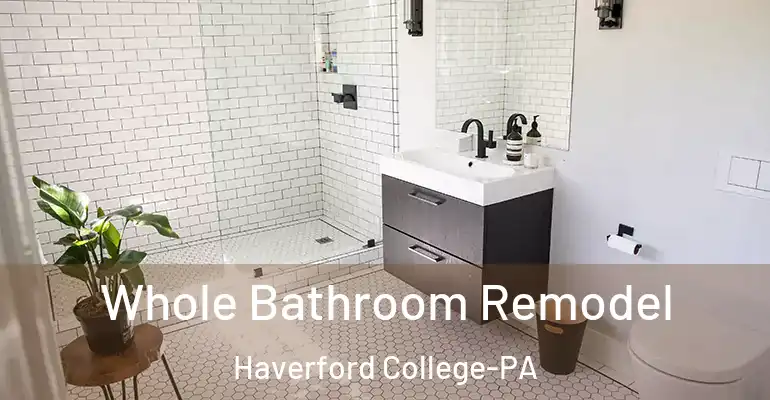 inner Bathroom imggen Whole Bathroom Remodel Haverford College-PA