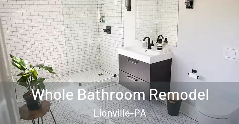 inner Bathroom imggen Whole Bathroom Remodel Lionville-PA
