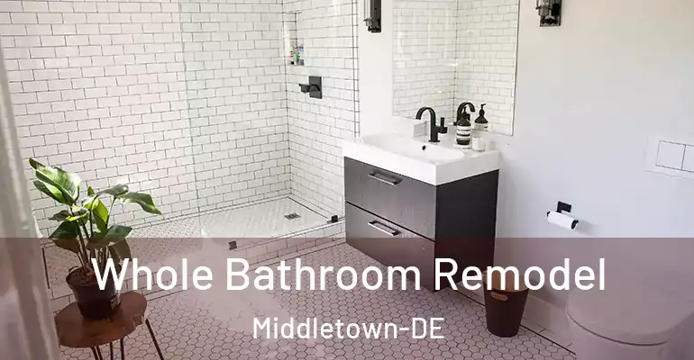 inner Bathroom imggen Whole Bathroom Remodel Middletown-DE
