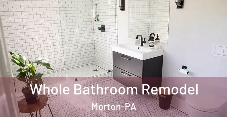 inner Bathroom imggen Whole Bathroom Remodel Morton-PA