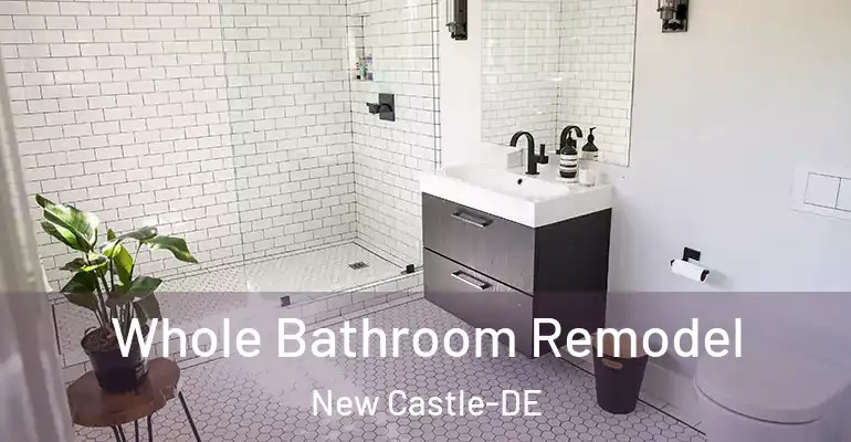 inner Bathroom imggen Whole Bathroom Remodel New Castle-DE