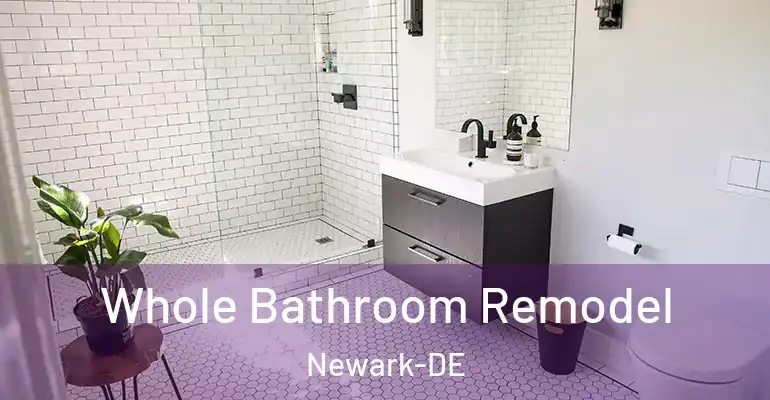 inner Bathroom imggen Whole Bathroom Remodel Newark-DE