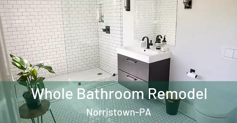 inner Bathroom imggen Whole Bathroom Remodel Norristown-PA