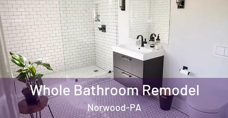 inner Bathroom imggen Whole Bathroom Remodel Norwood-PA