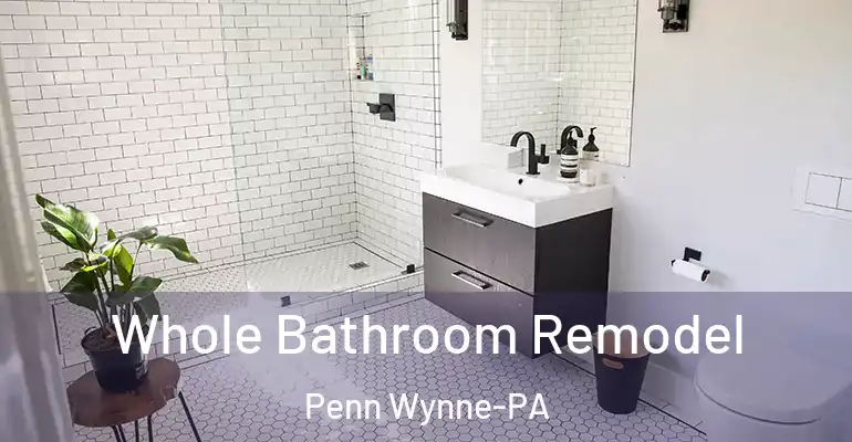 inner Bathroom imggen Whole Bathroom Remodel Penn Wynne-PA