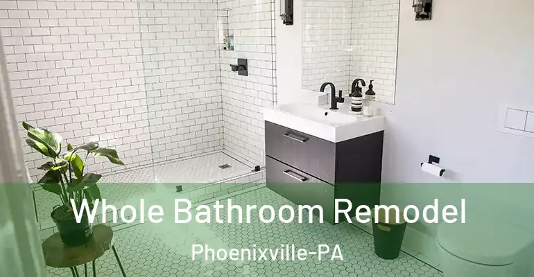 inner Bathroom imggen Whole Bathroom Remodel Phoenixville-PA