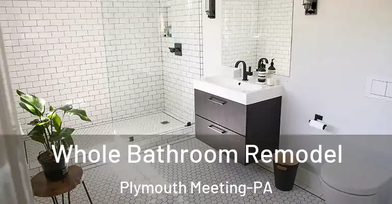 inner Bathroom imggen Whole Bathroom Remodel Plymouth Meeting-PA