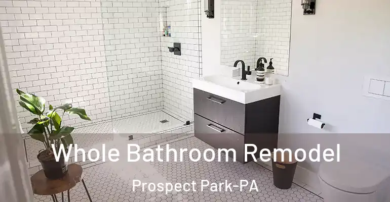 inner Bathroom imggen Whole Bathroom Remodel Prospect Park-PA