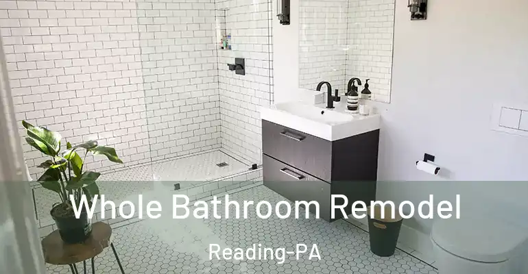 inner Bathroom imggen Whole Bathroom Remodel Reading-PA