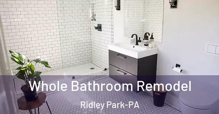 inner Bathroom imggen Whole Bathroom Remodel Ridley Park-PA