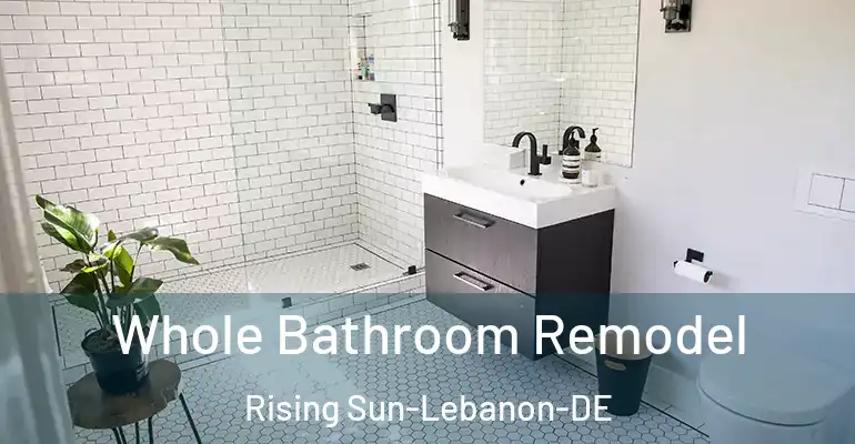 inner Bathroom imggen Whole Bathroom Remodel Rising Sun-Lebanon-DE