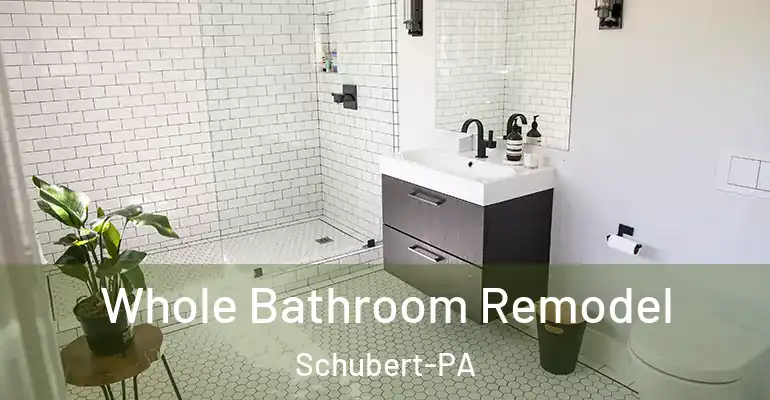 inner Bathroom imggen Whole Bathroom Remodel Schubert-PA