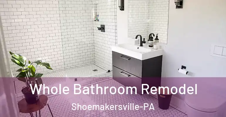 inner Bathroom imggen Whole Bathroom Remodel Shoemakersville-PA