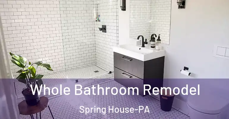 inner Bathroom imggen Whole Bathroom Remodel Spring House-PA
