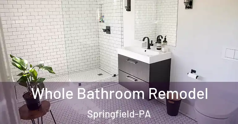 inner Bathroom imggen Whole Bathroom Remodel Springfield-PA
